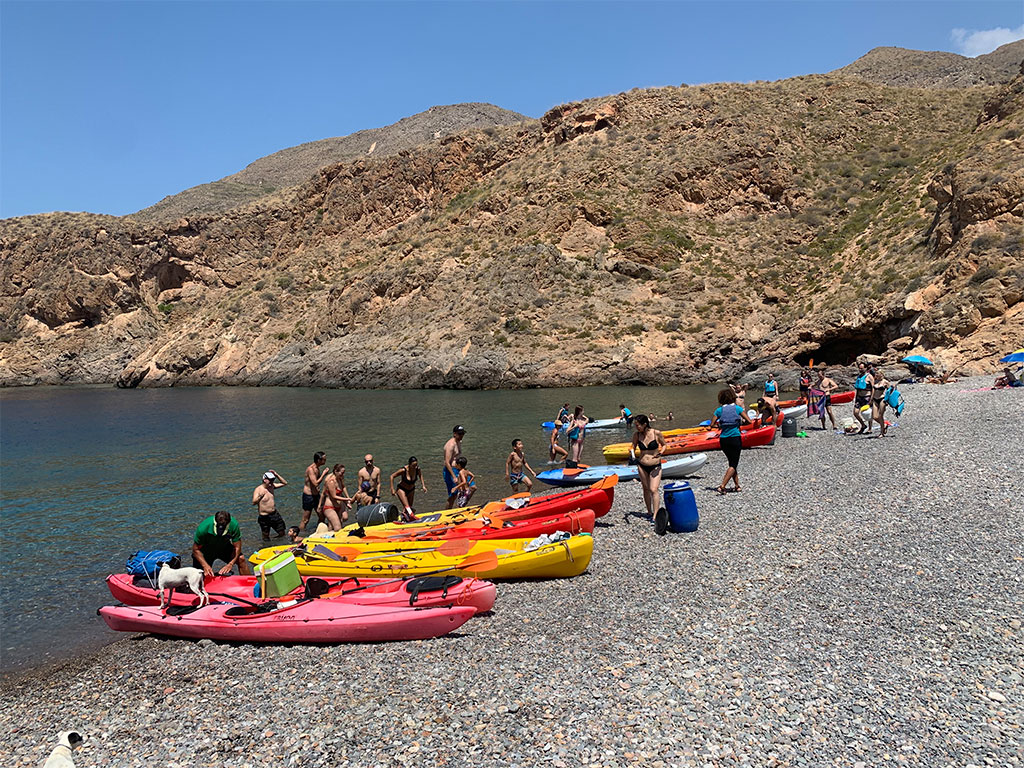 Imagen de Kayaks