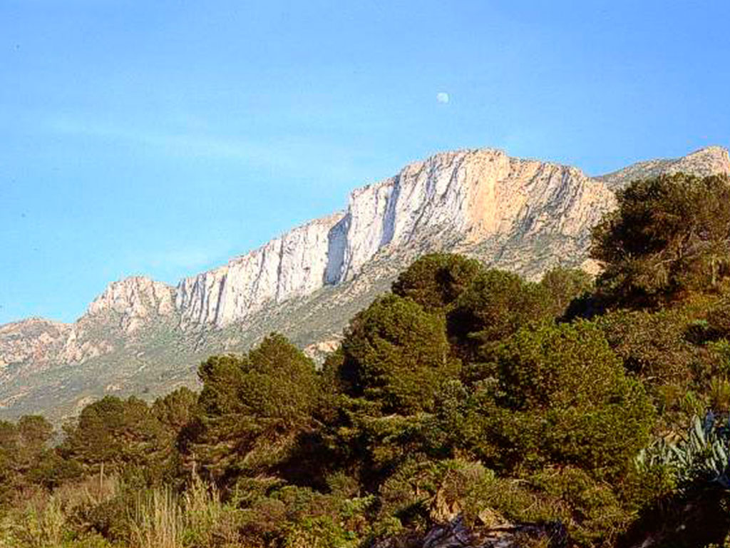 Imagen de Almadraba de la Azohía