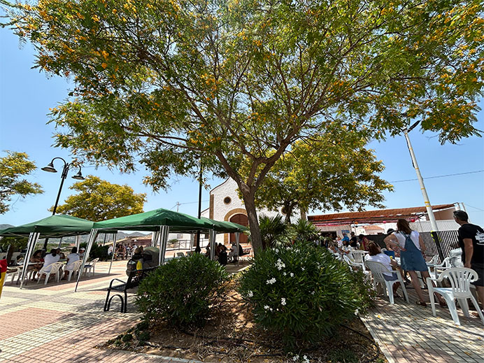 Imagen de las Fiestas de Tallante